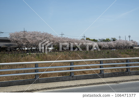 Yeongsan River bicycle path 106471377