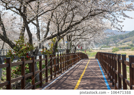 Yeongsan River bicycle path 106471388