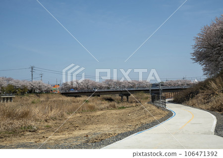 Yeongsan River bicycle path 106471392