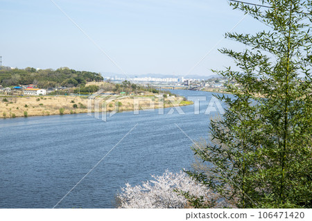 Yeongsan River bicycle path 106471420