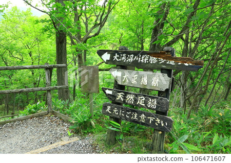 鮮綠的大湯沼川探索路線 106471607