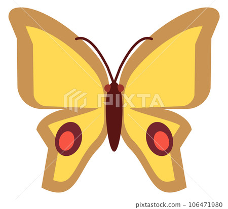 Butterfly flat icon. Yellow moth. Flying animal Butterfly flat icon. Yellow moth. Flying animal 106471980