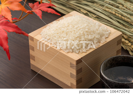 rice and sake. Image of new rice and new sake 106472042