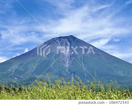 Mt.Fuji seen through the grass in summer 106472543