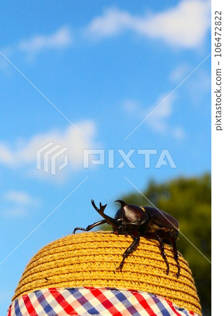 Scenery of a beetle climbing on a straw hat in a woodland with a blue sky and white clouds. Scenery of a beetle climbing on a straw hat in a woodland with a blue sky and white clouds. 106472822