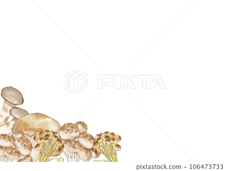 Simple mushroom frame painted by watercolor Simple mushroom frame painted by watercolor 106473733