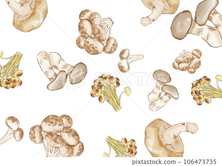 Autumn Mushroom background with seasonal ingredients watercolor Autumn Mushroom background with seasonal ingredients watercolor 106473735