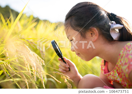 孩子用放大鏡觀察大米 孩子用放大鏡觀察大米 106473751