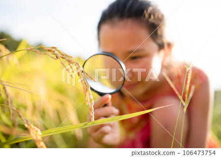 孩子用放大鏡觀察大米 106473754