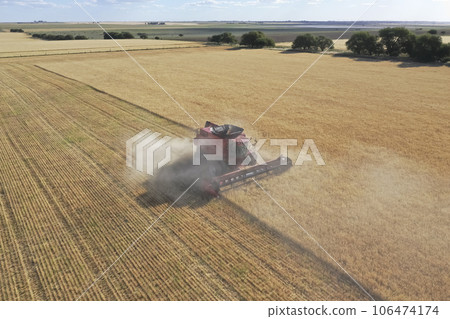 Wheat harvest in the Argentine countryside, La Pampa province, Patagonia, Argentina. Wheat harvest in the Argentine countryside, La Pampa province, Patagonia, Argentina. 106474174