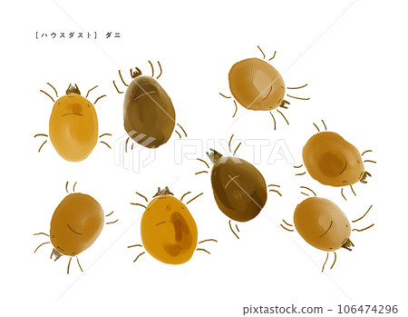 Dust mite Illustration with a gentle touch in watercolor style ・Causes of house dust 106474296