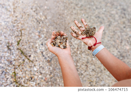 close up view on child's hands holding little stones on the beach close up view on child's hands holding little stones on the beach 106474715
