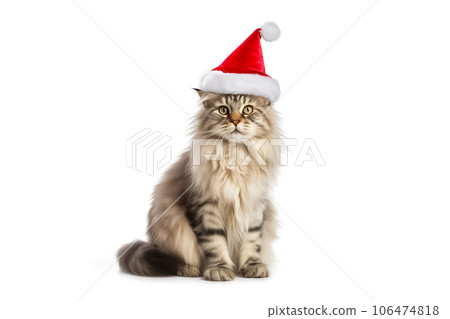 Big fluffy on sale santa hat