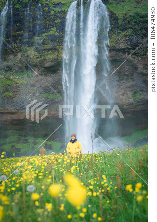 Female tourist standing on yellow flower field and waterfall flowing in summer at Seljalandsfoss, Iceland Female tourist standing on yellow flower field and waterfall flowing in summer at Seljalandsfoss, Iceland 106474930