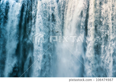 Seagull bird flying near the powerful waterfall flowing in summer at Iceland Seagull bird flying near the powerful waterfall flowing in summer at Iceland 106474987