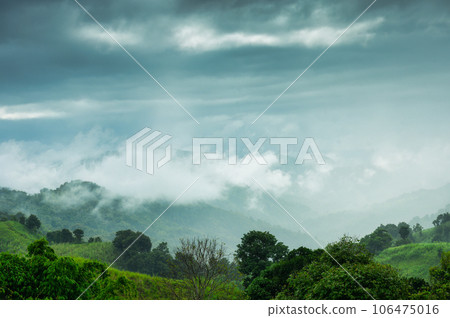 View of foggy on mountain in tropical rainforest at the morning View of foggy on mountain in tropical rainforest at the morning 106475016