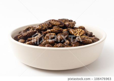 stewed pupa on a white background stewed pupa on a white background 106476963