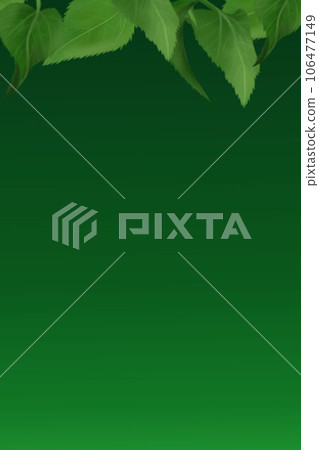 Plant green background Plant green background 106477149