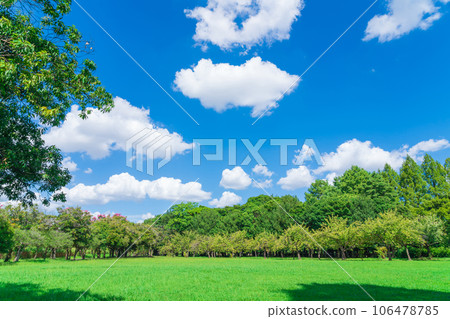 藍天草坪廣場/公園形象 106478785