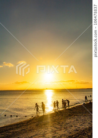 play with the sunset 106478837