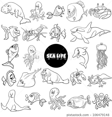 cartoon marine animal characters big set coloring page cartoon marine animal characters big set coloring page 106479148