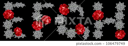 Floral font Alphabet E, F, G, H made from fresh red flowers carnation and openwork white flowers isolated on a black background. Font collection. For decorating ideas. 106479749