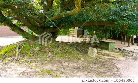 small garden of an old folk house small garden of an old folk house 106480005