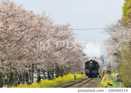Spring Moka鐵路SL Spring Moka鐵路SL 106480314