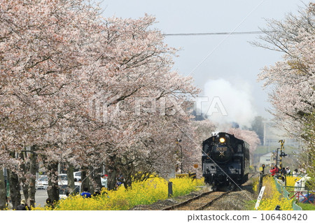 Spring Moka railway SL 106480420