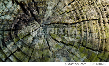 Old wood with distinctive grain 106480602