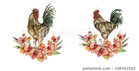 Watercolor flowers and rooster composition. Hand drawn illustration of a farm. Perfect for wedding invitation, greetings card, posters. 106481082