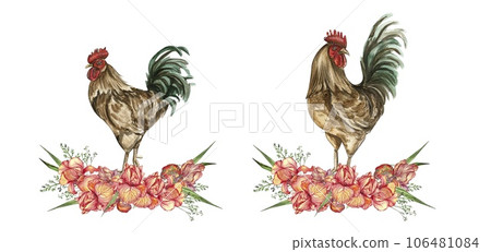 Watercolor flowers and rooster composition. Hand drawn illustration of a farm. Perfect for wedding invitation, greetings card, posters. 106481084