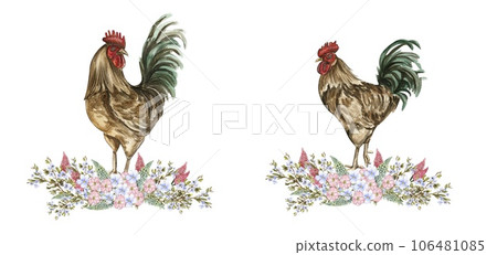 Watercolor flowers and rooster composition. Hand drawn illustration of a farm. Perfect for wedding invitation, greetings card, posters. 106481085
