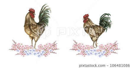 Watercolor flowers and rooster composition. Hand drawn illustration of a farm. Perfect for wedding invitation, greetings card, posters. 106481086