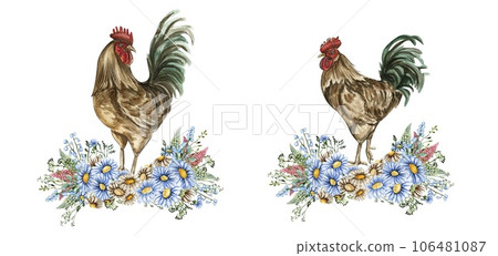 Watercolor flowers and rooster composition. Hand drawn illustration of a farm. Perfect for wedding invitation, greetings card, posters. 106481087