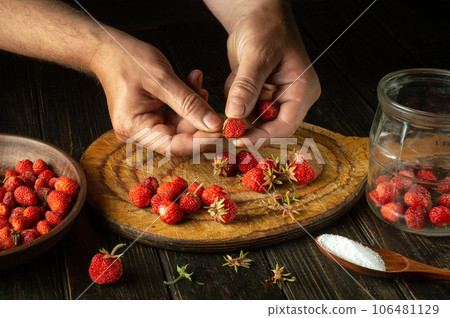 The chef prepares a sweet fruit drink from fresh strawberries and sugar on the kitchen table. The process of canning strawberries or fragaria in a jar at home The chef prepares a sweet fruit drink from fresh strawberries and sugar on the kitchen table. The process of canning strawberries or fragaria in a jar at home 106481129