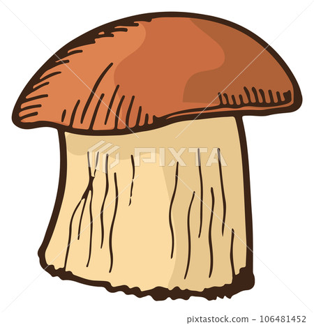 Porcini fungus. Natural forest mushroom color icon Porcini fungus. Natural forest mushroom color icon 106481452