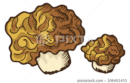 Shitake icon. Fresh raw mushroom color sketch Shitake icon. Fresh raw mushroom color sketch 106481453