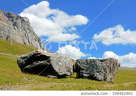 Green Swiss Alpine valley with big boulders in the center. 106482802