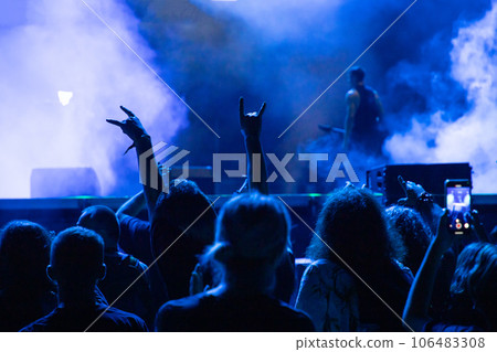 crowd at concert - summer music festival. crowd at concert - summer music festival. 106483308