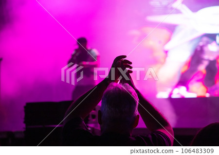 crowd at concert - summer music festival. crowd at concert - summer music festival. 106483309