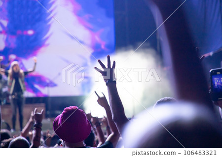 crowd at concert - summer music festival. 106483321