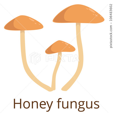 Honey fungus color icon. Growing forest mushroom 106483602