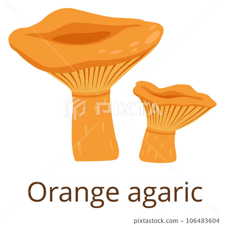 Orange agaric fungus. Forest mushroom color icon Orange agaric fungus. Forest mushroom color icon 106483604