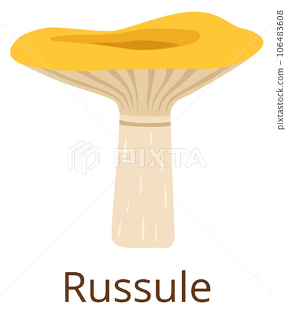 Russula mushroom color icon. Autumn forest fungus 106483608