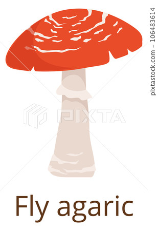 Fly agaric icon. Amanita mushroom. Forest fungus 106483614