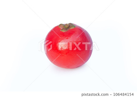 Garcinia cowa Roxb Fruit, Madan red isolated on white background with clipping path . 106484154