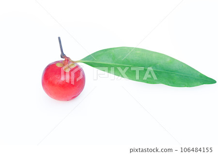 Garcinia cowa Roxb Fruit, Madan red isolated on white background with clipping path . 106484155
