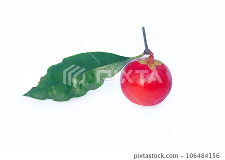 Garcinia cowa Roxb Fruit, Madan red isolated on white background with clipping path . 106484156