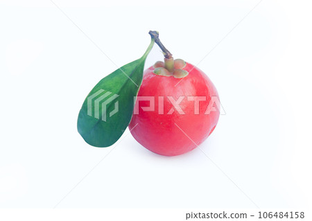 Garcinia cowa Roxb Fruit, Madan red isolated on white background with clipping path . Garcinia cowa Roxb Fruit, Madan red isolated on white background with clipping path . 106484158
